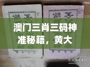 澳门三肖三码神准秘籍，黄大仙最新正宗解析揭秘_社交平台PAM110.34