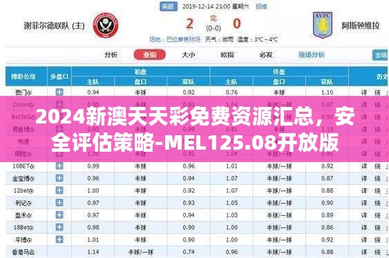 2024新澳天天彩免费资源汇总，安全评估策略-MEL125.08开放版