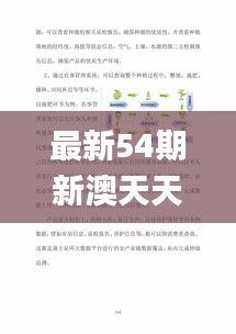 最新54期新澳天天开奖资料汇编：综合数据分析_稀有版KFX685.49