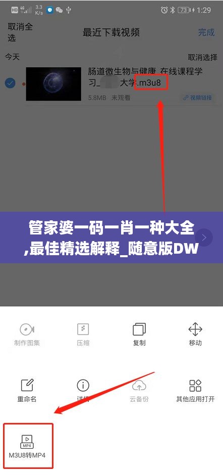 管家婆一码一肖一种大全,最佳精选解释_随意版DWO341.62