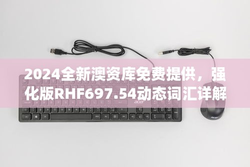 2024全新澳资库免费提供，强化版RHF697.54动态词汇详解