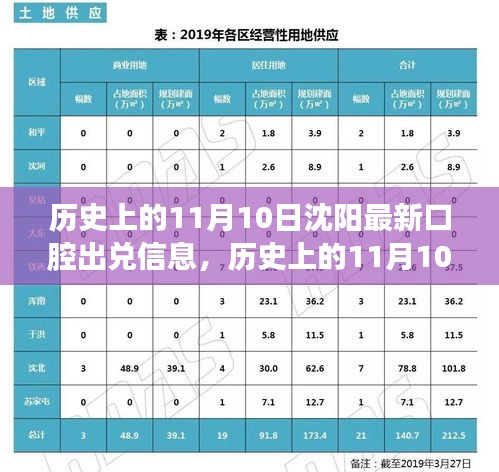 沈阳口腔出兑信息详解，历史11月10日最新信息与初学者指南