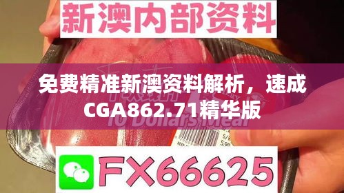 免费精准新澳资料解析，速成CGA862.71精华版