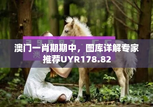 澳门一肖期期中，图库详解专家推荐UYR178.82