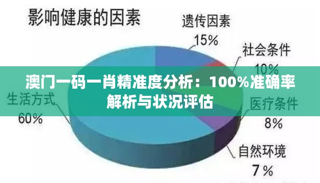 澳门一码一肖精准度分析：100%准确率解析与状况评估