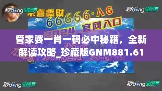 新闻资讯 第683页