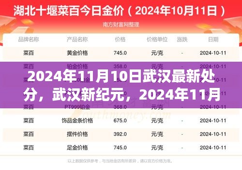 武汉新纪元，2024年11月10日最新处分时代印记