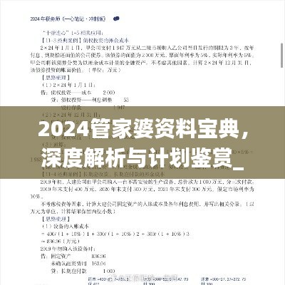 2024管家婆资料宝典，深度解析与计划鉴赏_便携版JAZ488.4