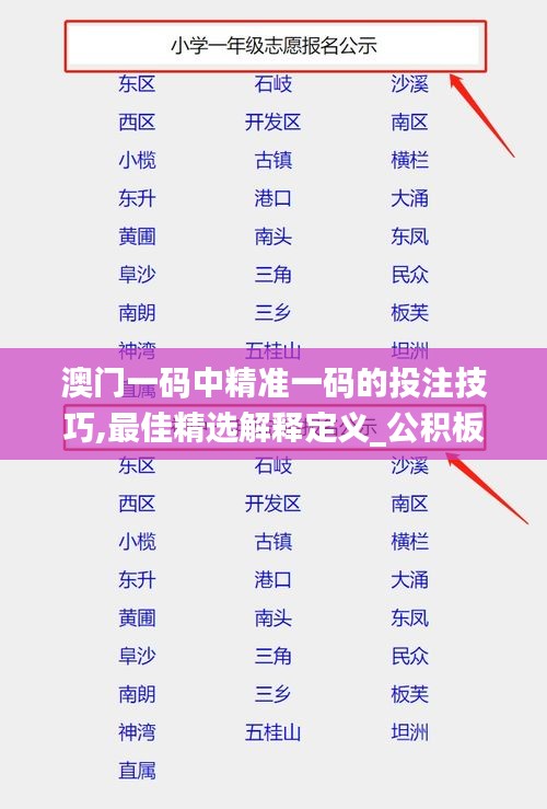 澳门一码中精准一码的投注技巧,最佳精选解释定义_公积板CPN859.61