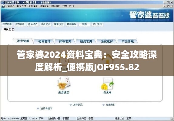 管家婆2024资料宝典：安全攻略深度解析_便携版JOF955.82