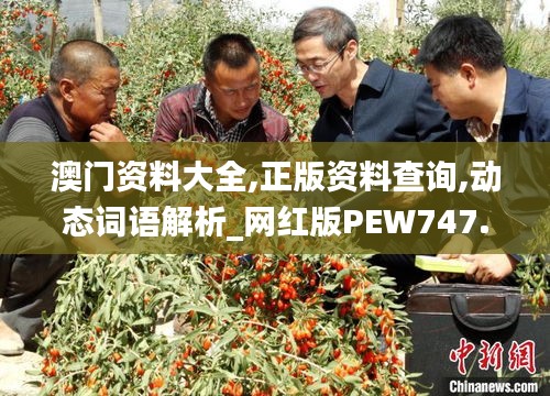 澳门资料大全,正版资料查询,动态词语解析_网红版PEW747.85