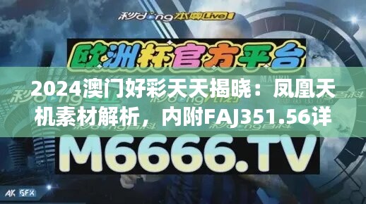 2024澳门好彩天天揭晓：凤凰天机素材解析，内附FAJ351.56详尽方案