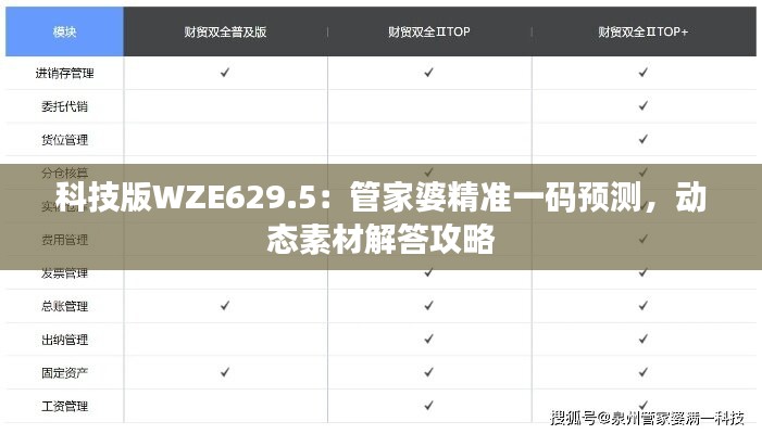 科技版WZE629.5：管家婆精准一码预测，动态素材解答攻略