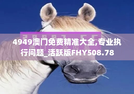 4949澳门免费精准大全,专业执行问题_活跃版FHY508.78