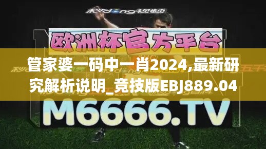 管家婆一码中一肖2024,最新研究解析说明_竞技版EBJ889.04