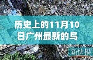 广州鸟洞厕所的历史变迁与探索，11月10日的回顾与展望