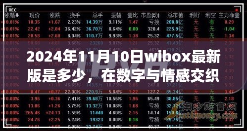 数字与情感交织的日子，Wibox更新与友情的小确幸，最新Wibox版本揭晓