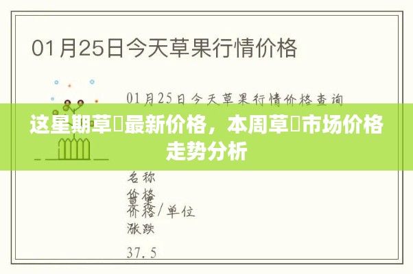 本周草菓价格走势分析与市场价格概览