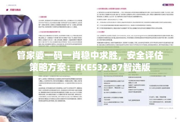 管家婆一码一肖稳中求胜，安全评估策略方案：FKE532.87智选版