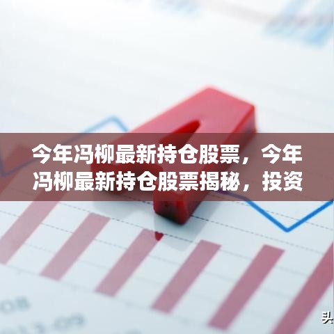 投资大师冯柳最新持仓股票揭秘，操作策略与布局分析概览