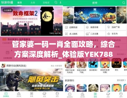 管家婆一码一肖全面攻略，综合方案深度解析_体验版YEK788.38