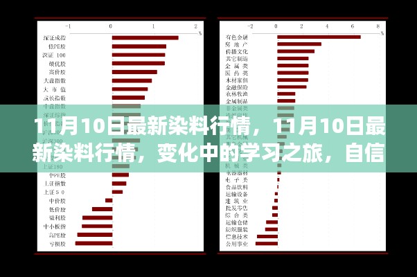 11月10日染料市场最新动态，变化中的学习之旅，成就感的源泉