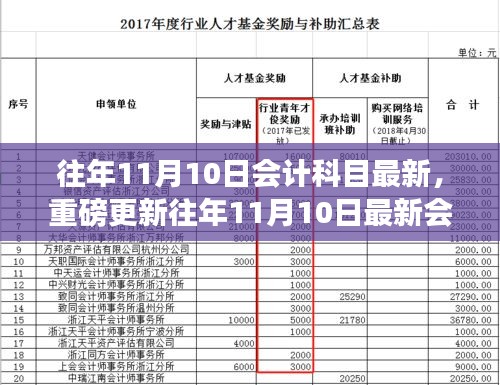 重磅更新，往年11月10日会计科目概览与最新变化解析