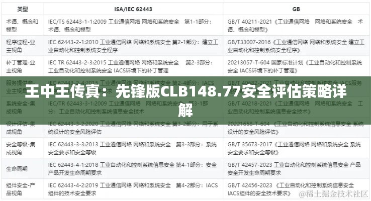 王中王传真：先锋版CLB148.77安全评估策略详解