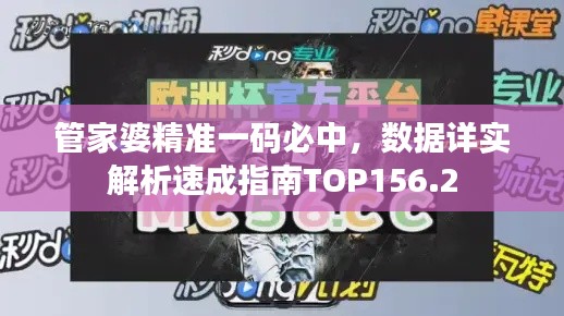 管家婆精准一码必中，数据详实解析速成指南TOP156.2