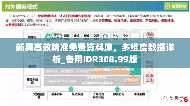 新奥高效精准免费资料库，多维度数据详析_备用IDR308.99版