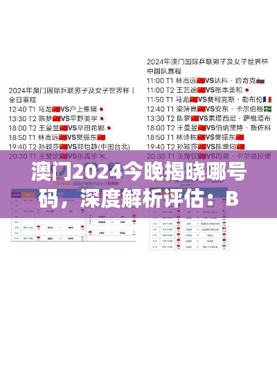 澳门2024今晚揭晓哪号码，深度解析评估：BTP740.08版