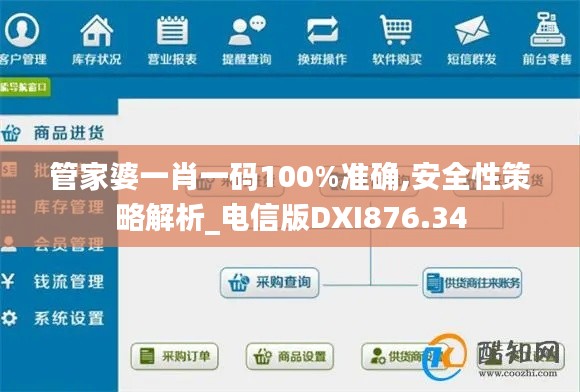 管家婆一肖一码100%准确,安全性策略解析_电信版DXI876.34