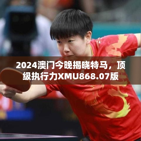 2024澳门今晚揭晓特马，顶级执行力XMU868.07版