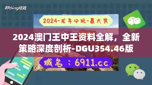 2024澳门王中王资料全解，全新策略深度剖析-DGU354.46版