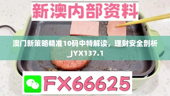 澳门新策略精准10码中特解读，理财安全剖析_JYX137.1