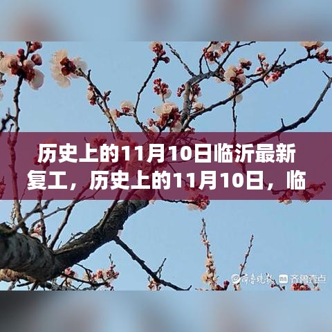 临沂复工新篇章，历史上的11月10日，重塑自信铸就成就日