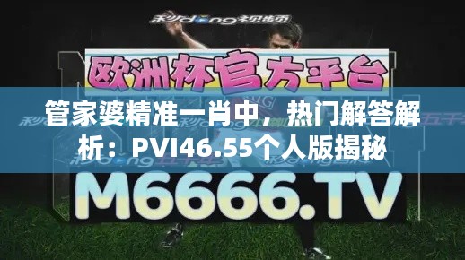 管家婆精准一肖中，热门解答解析：PVI46.55个人版揭秘