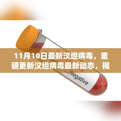 揭秘汉坦病毒真相，最新动态与应对策略（深度解析）