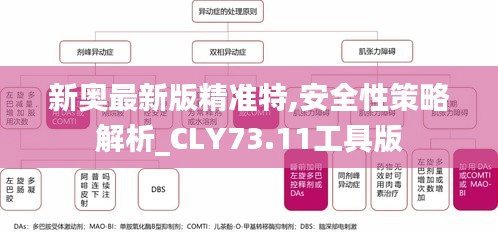 新奥最新版精准特,安全性策略解析_CLY73.11工具版