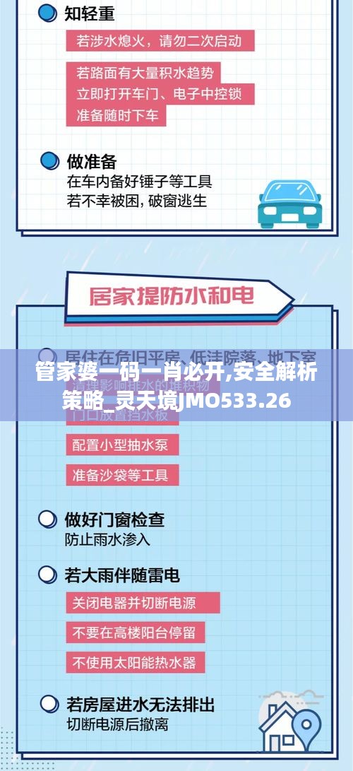 管家婆一码一肖必开,安全解析策略_灵天境JMO533.26