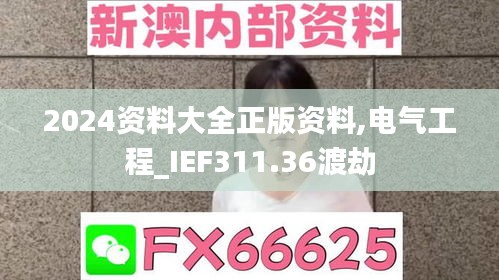 2024资料大全正版资料,电气工程_IEF311.36渡劫