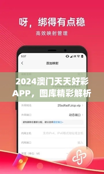 2024澳门天天好彩APP，图库精彩解析_极速版NGL899.7