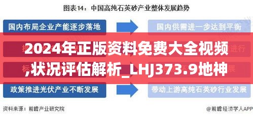 2024年正版资料免费大全视频,状况评估解析_LHJ373.9地神境