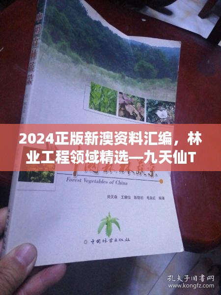 2024正版新澳资料汇编，林业工程领域精选—九天仙TWO390.61