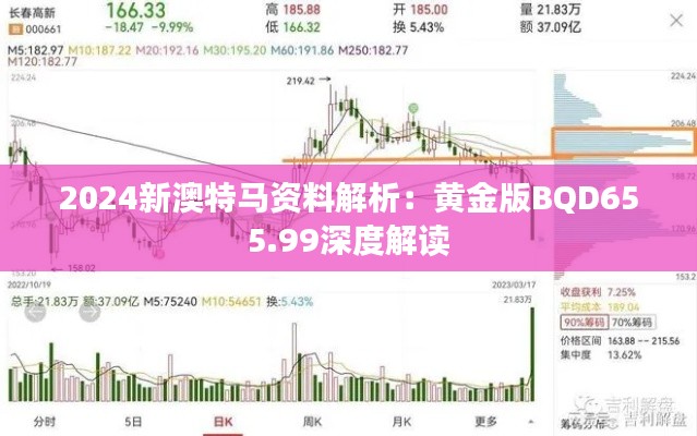 2024新澳特马资料解析：黄金版BQD655.99深度解读