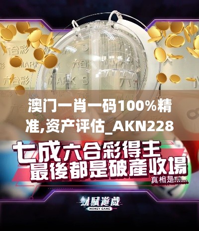 澳门一肖一码100%精准,资产评估_AKN228.53定制版