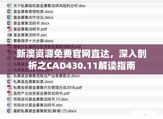 新澳资源免费官网直达，深入剖析之CAD430.11解读指南