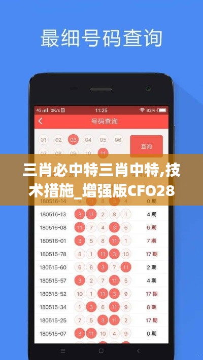 三肖必中特三肖中特,技术措施_增强版CFO289.58