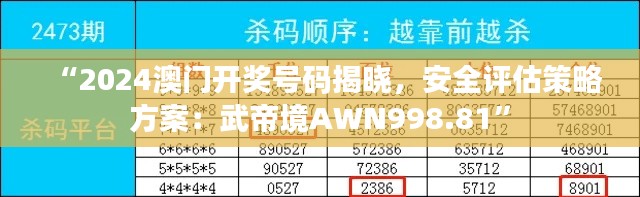 “2024澳门开奖号码揭晓，安全评估策略方案：武帝境AWN998.81”