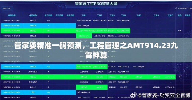 管家婆精准一码预测，工程管理之AMT914.23九霄神算
